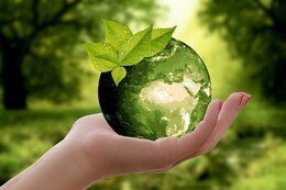Green Comfort